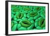 Conceptual Image of Stomata-null-Framed Art Print