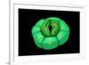 Conceptual Image of Stomata-null-Framed Art Print