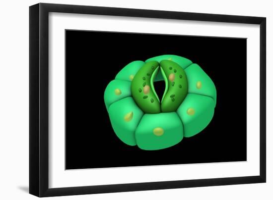 Conceptual Image of Stomata-null-Framed Art Print