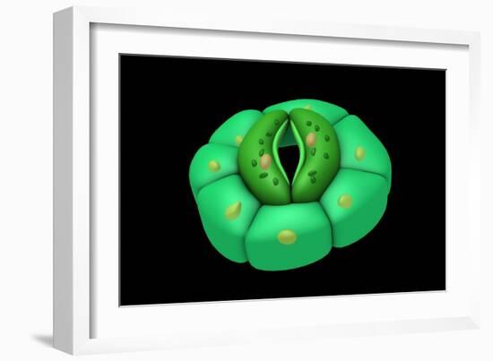 Conceptual Image of Stomata-null-Framed Art Print