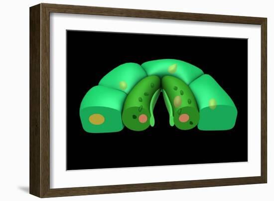 Conceptual Image of Stomata-null-Framed Art Print