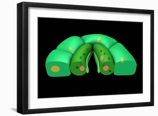 Conceptual Image of Stomata-null-Framed Art Print