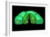 Conceptual Image of Stomata-null-Framed Art Print