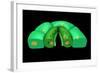 Conceptual Image of Stomata-null-Framed Art Print