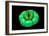 Conceptual Image of Stomata-null-Framed Art Print