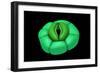 Conceptual Image of Stomata-null-Framed Premium Giclee Print