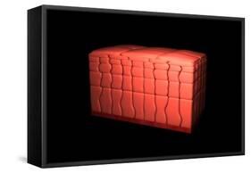 Conceptual Image of Stratified Squamous Epithelium-null-Framed Stretched Canvas