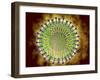 Conceptual Image of the Coronavirus-null-Framed Art Print