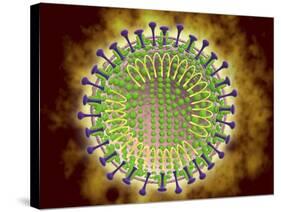 Conceptual Image of the Coronavirus-null-Stretched Canvas