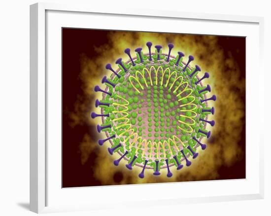 Conceptual Image of the Coronavirus-null-Framed Art Print