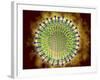 Conceptual Image of the Coronavirus-null-Framed Art Print