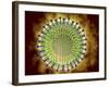 Conceptual Image of the Coronavirus-null-Framed Art Print