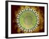 Conceptual Image of the Coronavirus-null-Framed Art Print