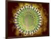 Conceptual Image of the Coronavirus-null-Framed Art Print