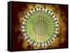 Conceptual Image of the Coronavirus-null-Framed Stretched Canvas