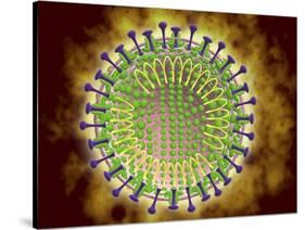 Conceptual Image of the Coronavirus-null-Stretched Canvas