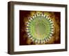 Conceptual Image of the Coronavirus-null-Framed Art Print