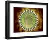 Conceptual Image of the Coronavirus-null-Framed Art Print