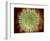 Conceptual Image of the Coronavirus-null-Framed Art Print