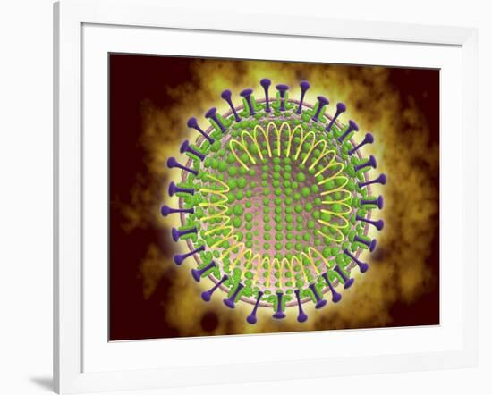 Conceptual Image of the Coronavirus-null-Framed Art Print