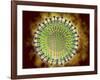 Conceptual Image of the Coronavirus-null-Framed Art Print