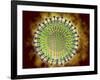 Conceptual Image of the Coronavirus-null-Framed Art Print