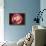 Conceptual Image of the Dengue Virus-null-Stretched Canvas displayed on a wall