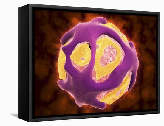 Conceptual Image of the Dengue Virus-null-Framed Stretched Canvas