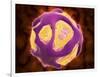 Conceptual Image of the Dengue Virus-null-Framed Art Print