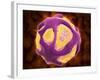 Conceptual Image of the Dengue Virus-null-Framed Art Print