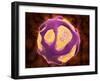 Conceptual Image of the Dengue Virus-null-Framed Art Print