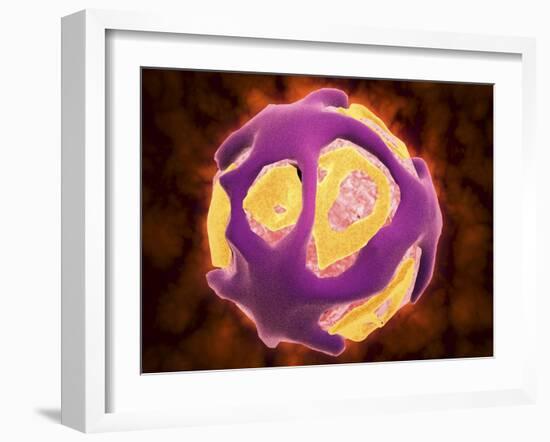 Conceptual Image of the Dengue Virus-null-Framed Art Print