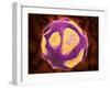 Conceptual Image of the Dengue Virus-null-Framed Art Print