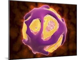 Conceptual Image of the Dengue Virus-null-Mounted Art Print