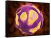 Conceptual Image of the Dengue Virus-null-Framed Stretched Canvas