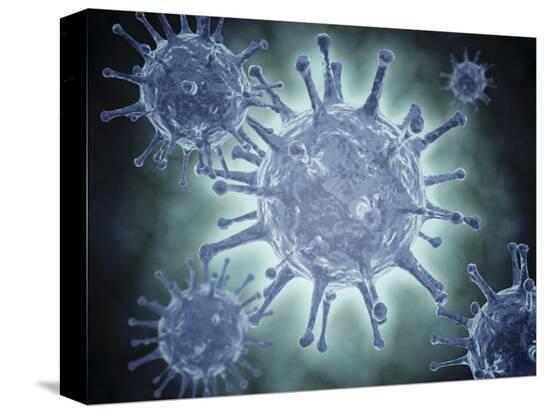 Stretched Canvas Print, , large