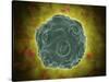 Conceptual Image of the Human Papilloma Virus-null-Stretched Canvas