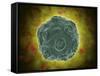 Conceptual Image of the Human Papilloma Virus-null-Framed Stretched Canvas