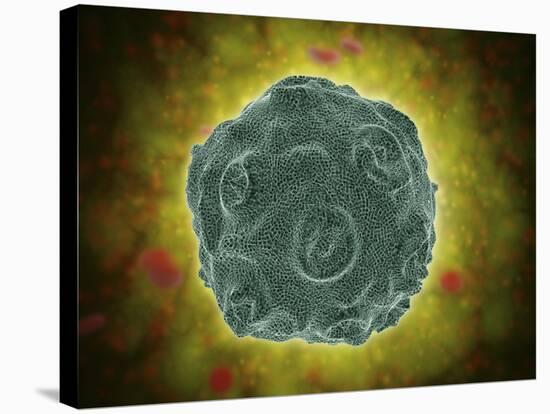 Conceptual Image of the Human Papilloma Virus-null-Stretched Canvas