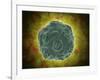 Conceptual Image of the Human Papilloma Virus-null-Framed Art Print