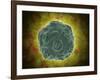 Conceptual Image of the Human Papilloma Virus-null-Framed Art Print