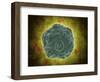 Conceptual Image of the Human Papilloma Virus-null-Framed Art Print