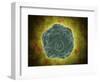 Conceptual Image of the Human Papilloma Virus-null-Framed Art Print