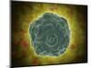 Conceptual Image of the Human Papilloma Virus-null-Mounted Art Print