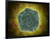 Conceptual Image of the Human Papilloma Virus-null-Framed Art Print