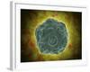 Conceptual Image of the Human Papilloma Virus-null-Framed Art Print