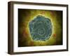 Conceptual Image of the Human Papilloma Virus-null-Framed Art Print