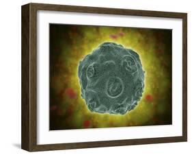 Conceptual Image of the Human Papilloma Virus-null-Framed Art Print