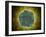 Conceptual Image of the Human Papilloma Virus-null-Framed Art Print