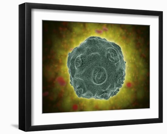 Conceptual Image of the Human Papilloma Virus-null-Framed Art Print